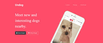 tindog-image